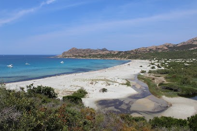 Les Appartements De Vadello, Location de Vacances à Corte