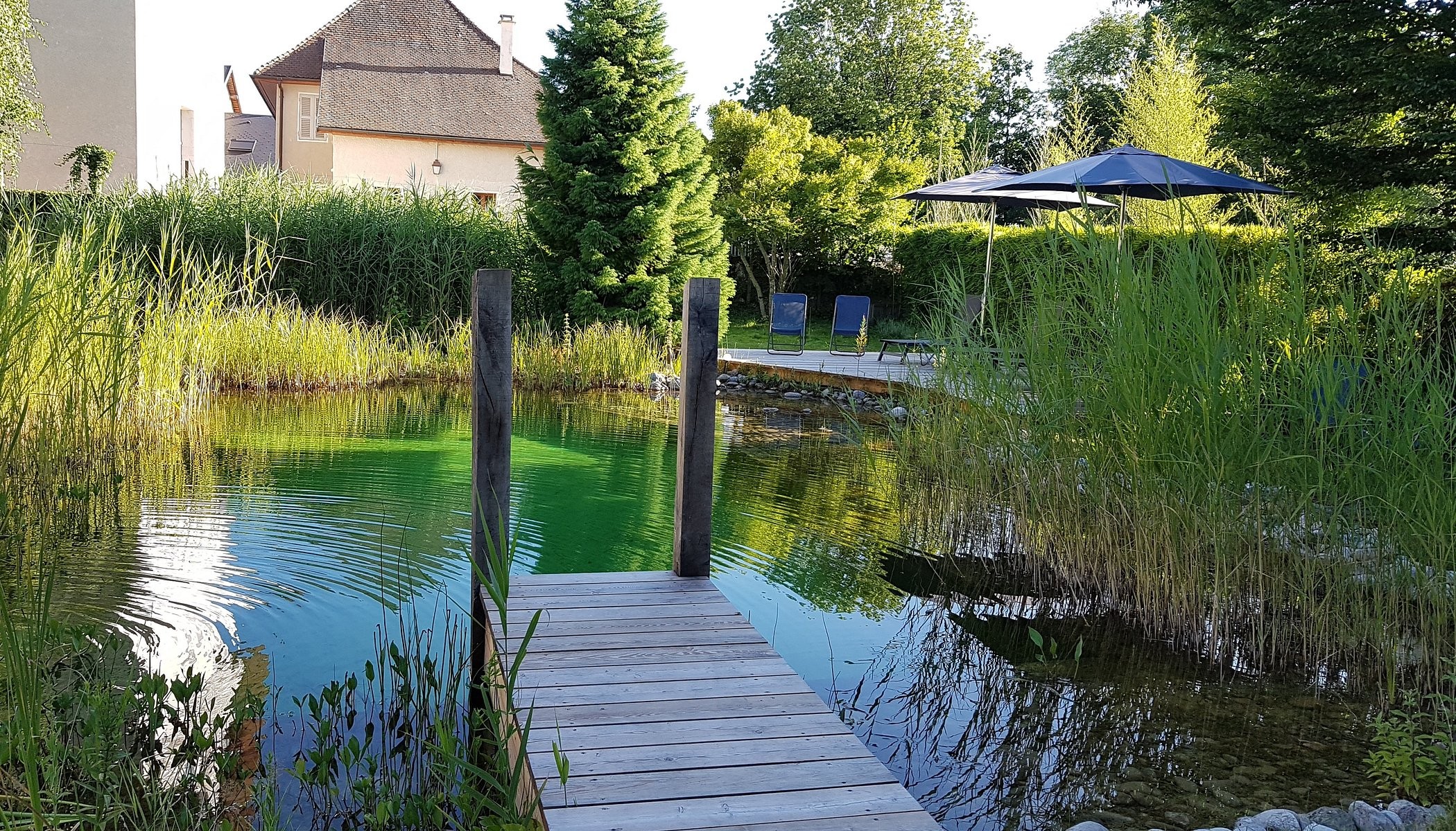 The Green Mare, Chambre d'Hôtes à Trévignin