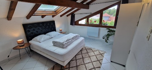 Duplex cocooning remiremont, Location de Vacances à Saint-Nabord