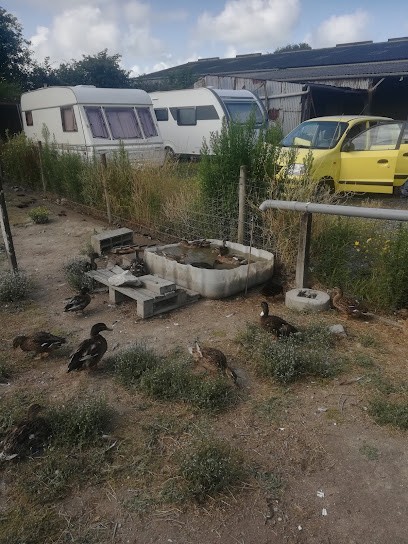 le loup dans la bergerie, Chambre d'Hôtes à Montmartin-sur-Mer
