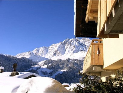 Le Gypaète, Location de Vacances à La Giettaz