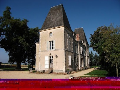 Château De Belle-Vue, Bed And Breakfast Near The Puy Du Fou, Chambre d'Hôtes à Sainte-Cécile