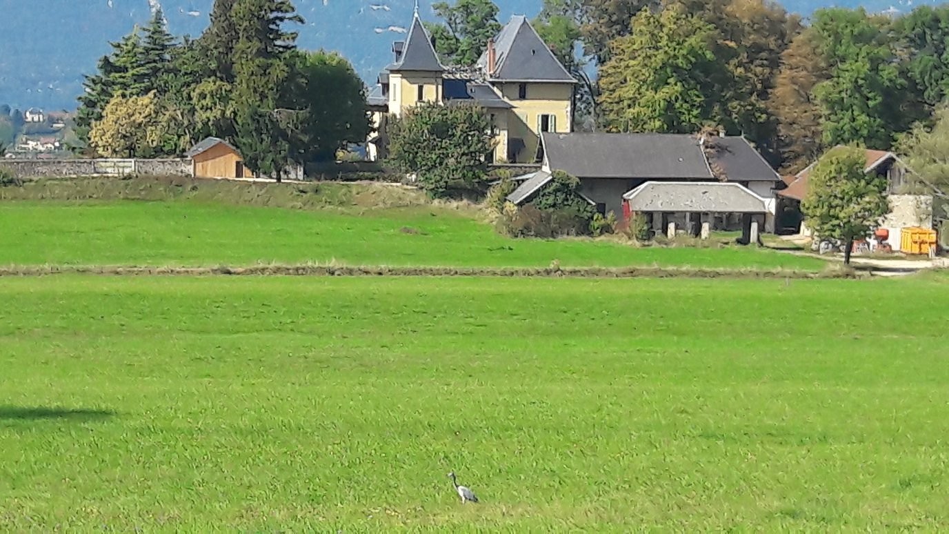 Le Chateau du Donjon, Chambre d'Hôtes à Drumettaz-Clarafond