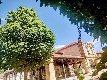 L'Ampelopse, Chambre d'Hôtes à Boulogne-sur-Gesse