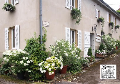 Maison GUILLON-KOPF, Chambre d'Hôtes à Semur-en-Brionnais