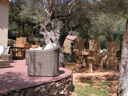 L'Oliveraie du Fango, Chambre d'Hôtes à Manso