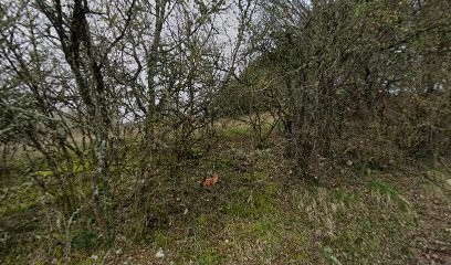 Gîte De Pouzol, Location de Vacances à Souillac