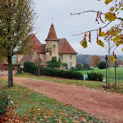 CHATEAU DU MONT, Chambre d'Hôtes à Saint-Nizier-sous-Charlieu