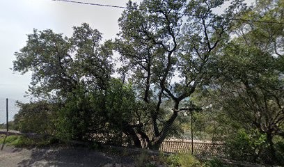 Villa La Brise, Location de Vacances à Rayol-Canadel-sur-Mer