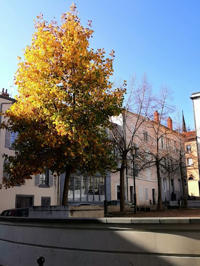 Chambre Hotes : 5 Chambres En Ville, Chambre d'Hôtes à Clermont-Ferrand