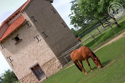 Chambres D'hôtes Ondine Et Igor, Chambre d'Hôtes à Saint-Marcellin-en-Forez