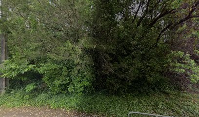 Sci Gabriel, Chambre d'Hôtes à Mont-de-Marsan