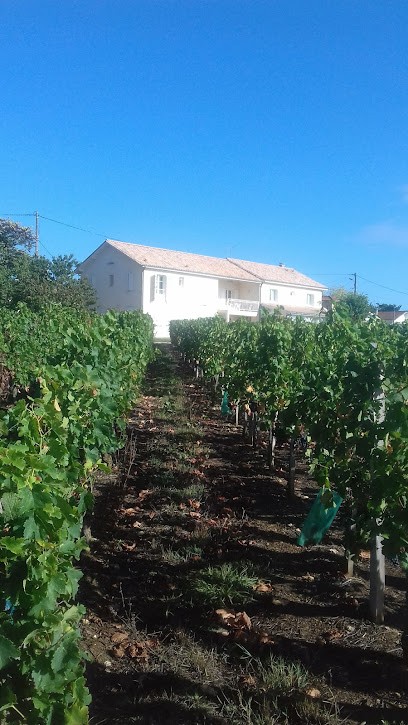 Les Raisins Du Bonheur, Chambre d'Hôtes à Puisseguin