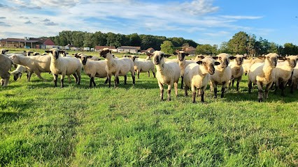 Bergerie des Grands Champs, Location de Vacances à Pierre-de-Bresse