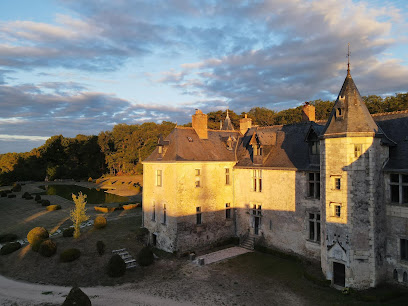 Château De Valesne, Chambre D'hôtes à Saché