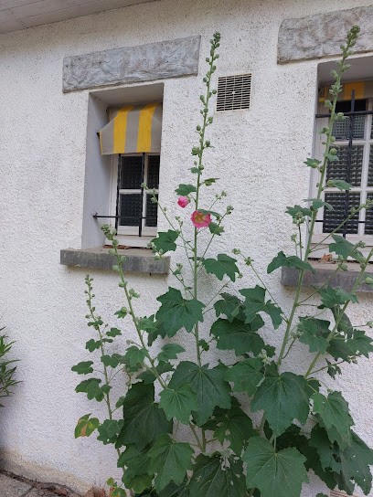 les allées du château, Chambre d'Hôtes au Mazeau