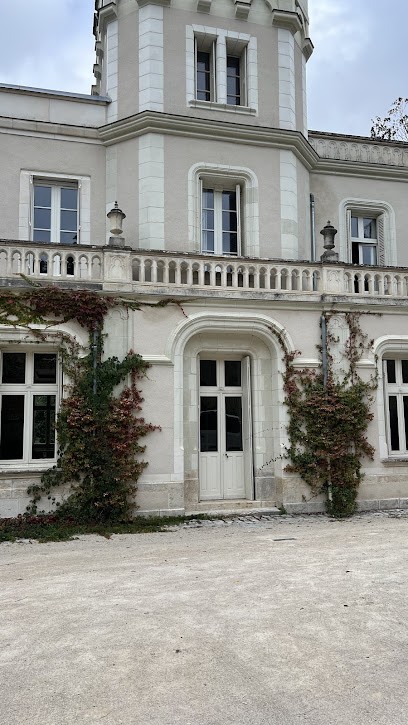 CHB - Château De La Haute Borde, Chambre d'Hôtes à Rilly-sur-Loire