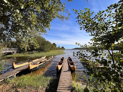 Location Mimizan Charmante Villa Aux Portes De L'océan, Location de Vacances à Mimizan