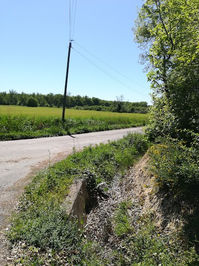 Les Platanes, Maison d'Hôtes à Saint-Étienne-de-Tulmont