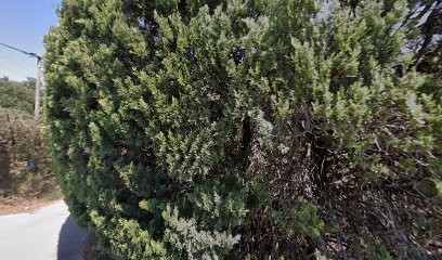 Le Charme D'une Vieille Bastide Provençale, Chambre d'Hôtes à Solliès-Pont