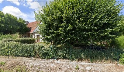 Foltier Michel, Chambre d'Hôtes à Soulangis