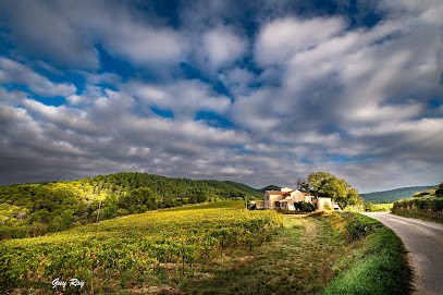 Le Mas de Lencieu, Location de Vacances à Gigondas