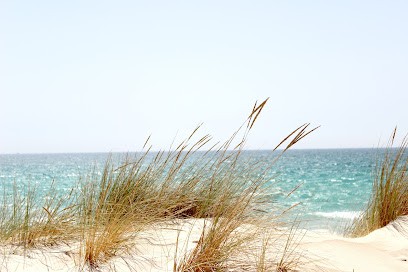 Conciergerie Les Dunes, Location de Vacances à Hudimesnil