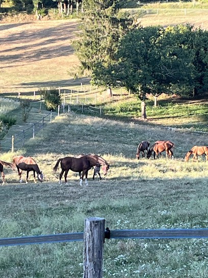 Résidence De Vacances La Caussine Haute, Location de Vacances à Doissat