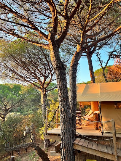 Les Tentes Sahariennes, Location de Vacances à Gassin