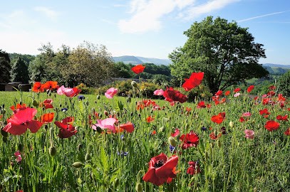 Domaine Des Marequiers, Location de Vacances à Saint-Germain-du-Teil