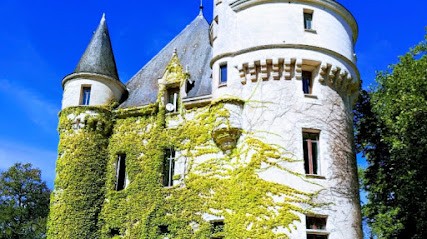 Chateau de la Chaise Saint Eloi, Chambre d'Hôtes à Mosnay