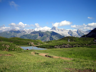 Chalet St-Olivier, Location De Vacances au Grand-Bornand