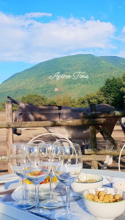 La Santon Chambres d'Hôtes et Gite, Chambre d'Hôtes à Vif