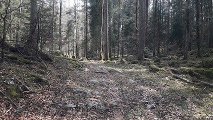 le chalet du Coin Dernier à Morbier dans le haut-Jura, Location de Vacances à Bellefontaine
