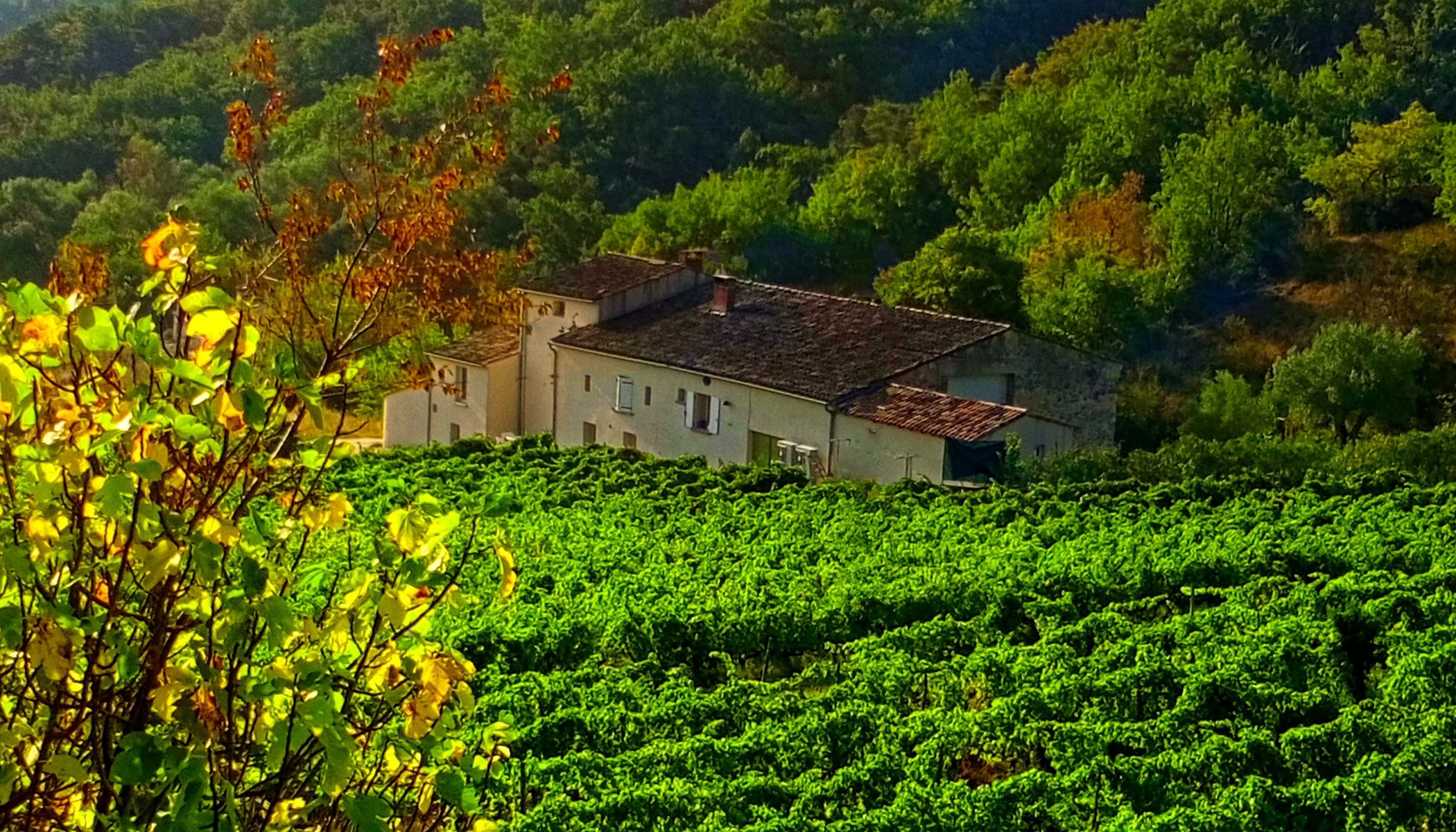La Source Ardèche - centre de ressourcement végétarien éco-label, Chambre d'Hôtes au Teil