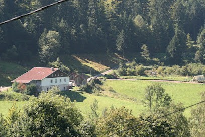 Gite Du Treix, Location de Vacances à Sapois