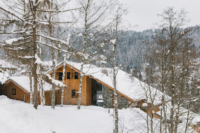 Treeline Chalets - Chalet Wilkids, Location De Vacances à Montriond