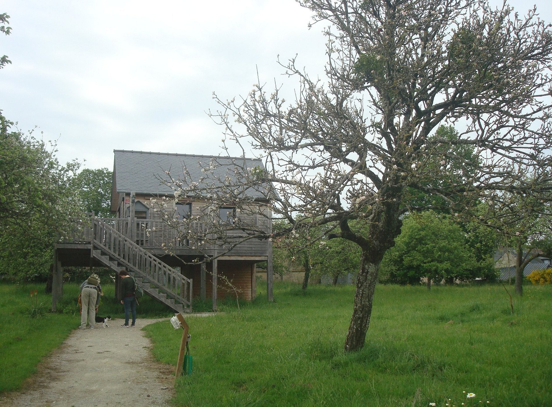 Chambre d'hôtes Violette, Chambre d'Hôtes à Bovel
