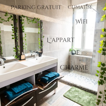 l appart de charmes et l appart cosy, Location de Vacances à Montbrison