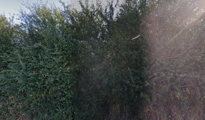 Rêver à 2 au bord de la piscine ..., Chambre d'Hôtes à Cholet