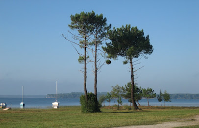 Location Saisonnière Appartement Studio, Location De Vacances à Lacanau