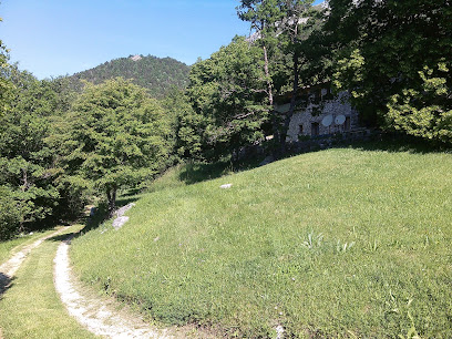 Le Mas Des Tilleuls, Location De Vacances au Mas