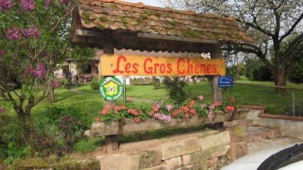 Bed and breakfast Belfort Les Gros Chenes, Chambre d'Hôtes à Frahier-et-Chatebier