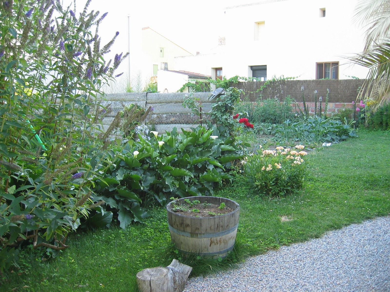 Cotés Jardins, Chambre d'Hôtes à Caudiès-de-Fenouillèdes