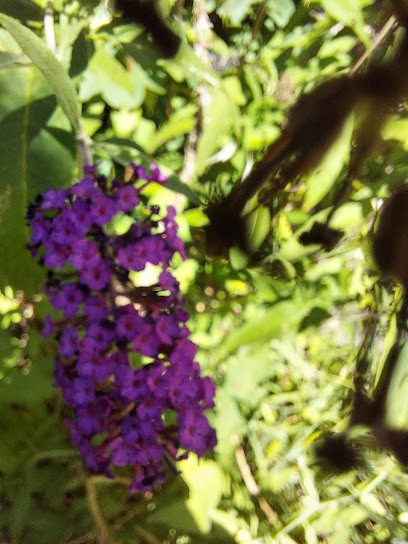 Chambres d'hôtes du Castelet-Arzeliers (05300), Chambre d'Hôtes à Laragne-Montéglin