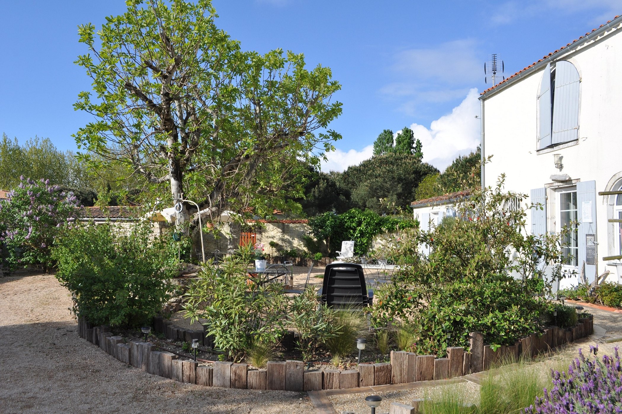 Au Calme Des Figuiers, Chambre d'Hôtes à Saint-Pierre-d'Oléron