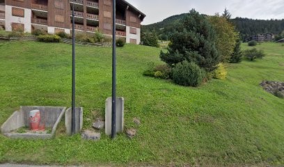 Chez Les Blom Des Sorbiers, Location de Vacances à Châtel