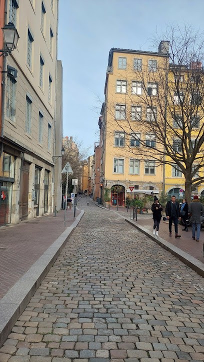 Le Saint Georges by Mon Hotel Particulier, Chambre d'Hôtes à Lyon 05