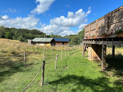 Le P'tit Monde Du Morvan / Hebergements Insolites, Chambre d'Hôtes à Quarré-les-Tombes