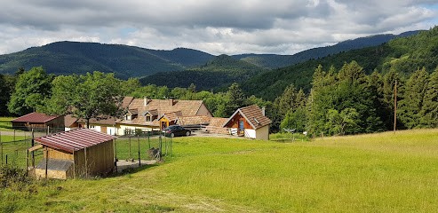 Ferme Saxermatt, Chambre d'Hôtes à Ribeauvillé